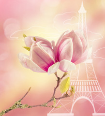 The branch of blooming magnolia against the stylized Eiffel tower. Paris, France