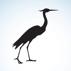 Stork. Vector drawing