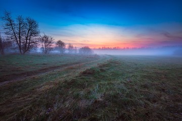 Dreamy foggy meadow landscape