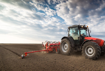 Obraz premium Farmer with tractor seeding - sowing crops at agricultural field in spring