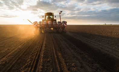 Fototapeta premium Farmer with tractor seeding - sowing crops at agricultural field in spring