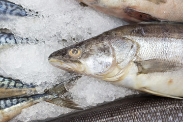 Fresh fish in the  supermarket