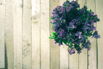 Fototapeta premium Primroses on a wooden background.