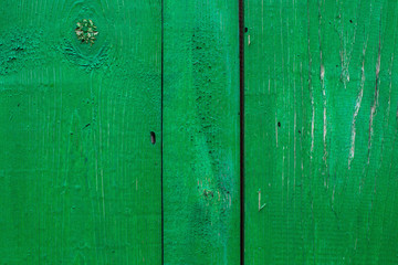 Obraz premium Old green wooden fence texture