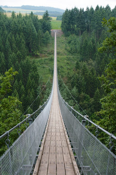 Fototapeta Geierlay suspension bridge from south to north