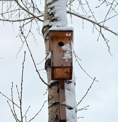 The birdhouse