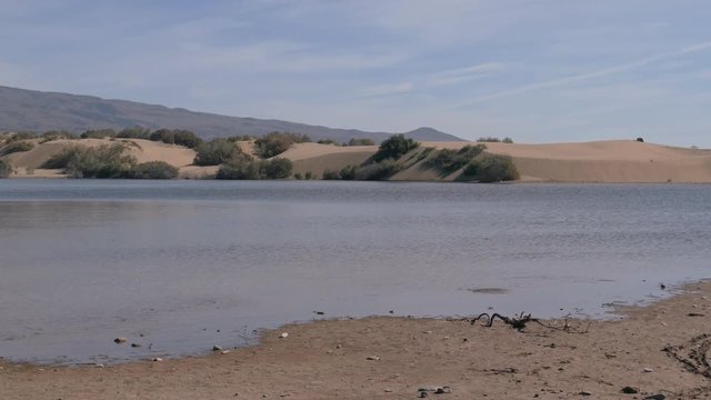 Maspalomas Lagoon and Dunes
