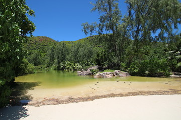 Pond at Beach Anse Lazio, Praslin Island, Seychelles, Indian Ocean, Africa
