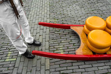 Traditional Dutch cheese market in Alkmaar, the Netherlands