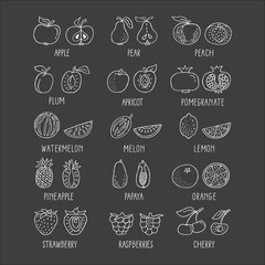 Fruit hand drawn icon set on black background