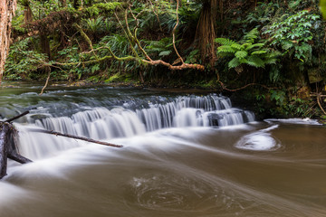 Fototapeta na wymiar Purakaunui Falls, Catlins, South Island, New Zealand