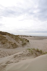 Blick über Dünenlandschaft auf die Nordsee