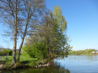 Fototapeta na wymiar Flussufer am Main