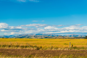 Obraz premium view of Green hills and valleys of the South Island, New Zealand