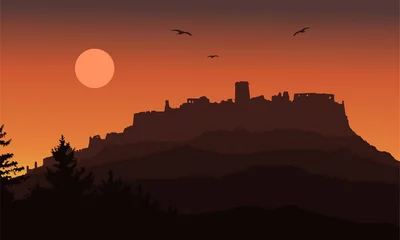 Fotobehang Chocoladebruin realistic silhouette of the ruins of a medieval castle built on a hill beyond the forest under a dramatic sky with the moon, flying birds and rising sun - vector  © Forgem