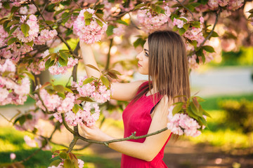 Beautiful girl posing to the photographer against the background of blooming pink trees. Spring. Sakura.