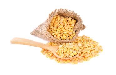 soybean on white background