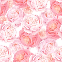 Fototapete Hell-pink Nahtloses Muster mit rosafarbenen Rosen der Eleganzfarbe. Natürlicher Blumenhintergrund.