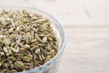 Fennel