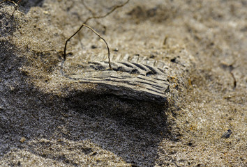A piece of an ancient vessel