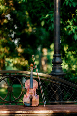 Violin music instrument of orchestra. Violins in the park on the bench