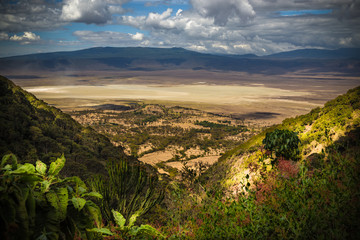Ngorongoro - obrazy, fototapety, plakaty