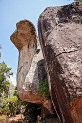 Cobra shaped rock in sigiriya, sri lanka