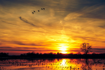 Beautiful colorful sky at sunset on the lake.