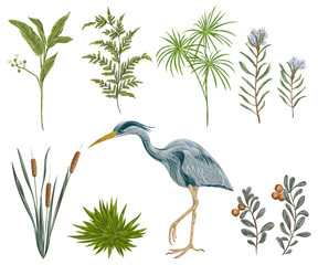 Heron bird and swamp plants. Marsh flora and fauna. Isolated elements Vintage hand drawn vector illustration in watercolor style - obrazy, fototapety, plakaty