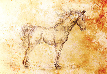 Drawing horse on old paper, original hand draw. Color effect. © jozefklopacka