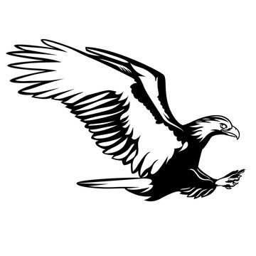eagle attack vector line art