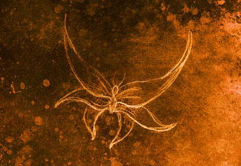 drawing of butterfly. computer collage and color structure.