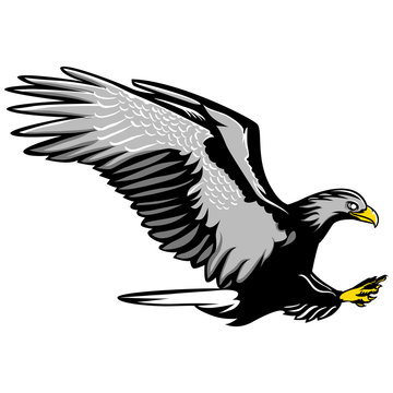 eagle vector image