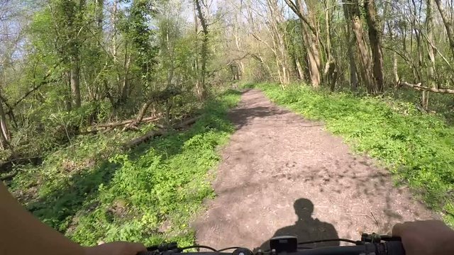 Mountain biker riding through a forest on a sunny day