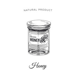 Vector hand drawn honey Illustration.