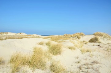 Landschaft mit Dünen an der Nordsee