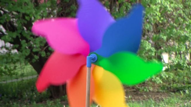 Der Fr&uuml;hlingswind dreht das bunte Windrad (Gro&szlig;aufnahme)
