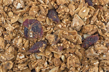 Organic cranberry nut granola close view.