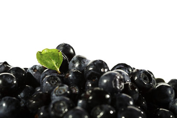 Pile of blueberries with green leaf on white background.