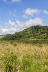Fototapeta premium Forest and hill in a farm
