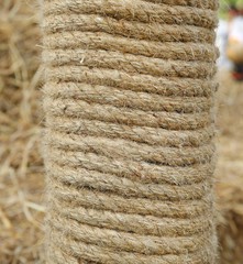 Rope background - texture