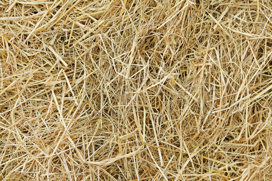 Straw texture background