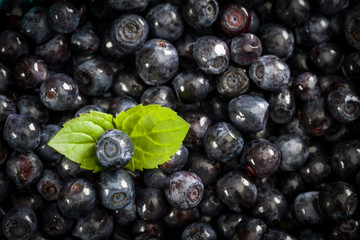 Blueberries background with fresh green leaf.