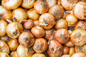 Closeup of the bunch, ripe onion captured the market for fruits and vegetables. Ecologically produced without nitrates. Concept agriculturally and agriculture.