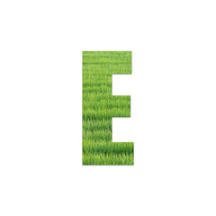 Alphabet text from green grass field texture on white background