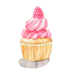 watercolor illustration of raspberry cupcake on white