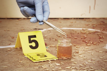 Detail of collecting of fly larva to glass on crime scene by police entomologist