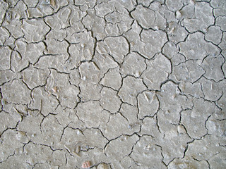 Dry, cracked mud.