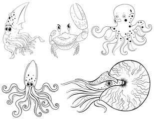 Animal outline for sea animals