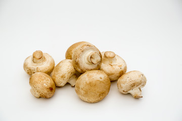 champignon mushroom